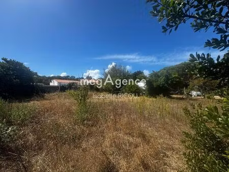 dolus d'oleron  côte ouest  terrain a bâtir de 700 m²