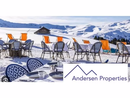 vente commerce 2 pièces 130 m² saint-étienne-de-tinée (06660)