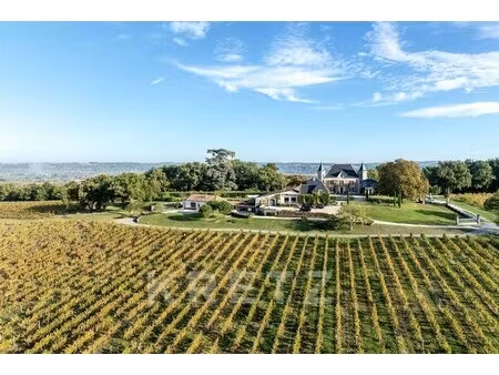 château à vendre à eynesse