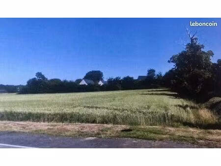 terrain 8 600 m² landudal