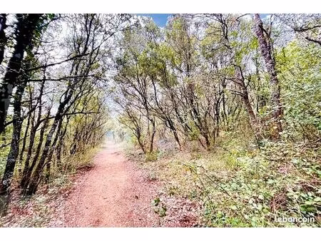 terrain 8074 m² monoblet