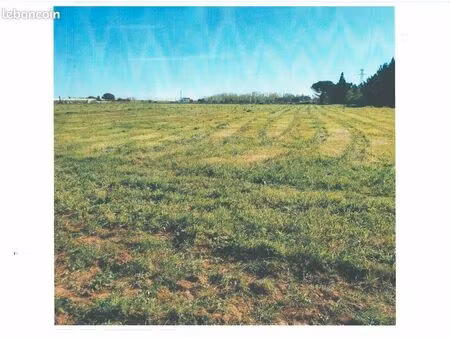 parcelle agricole constructible