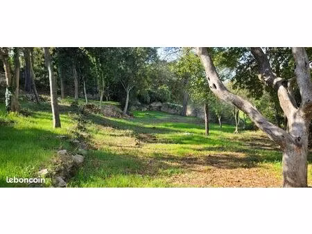 terrain constructible