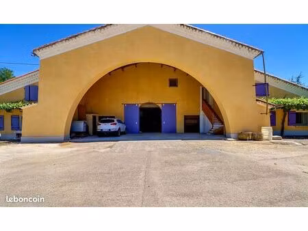 vente pro (murs) | local industriel / bâtiment | 300 m² | boucoiran-et-nozières