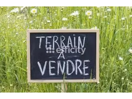 vente terrain 2400 m² à arenthon (74800)  550 000 €