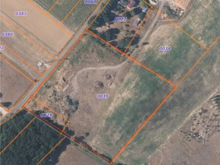 terrain de 1ha à vendre en bord de route