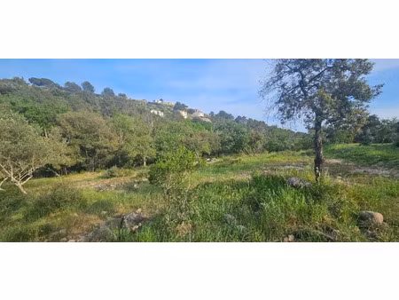 vente terrain 7300 m² à roquefort-les-pins (06330)  550 000 €