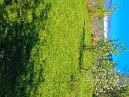 maison plein pied 1750m2 de terrain