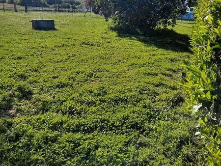 terrain constructible