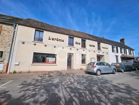 vente locaux professionnels à saint-fargeau-ponthierry (77310)  350 000 €