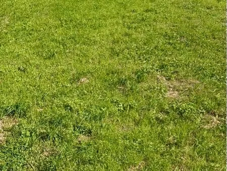 terrain 770 m² lardenne