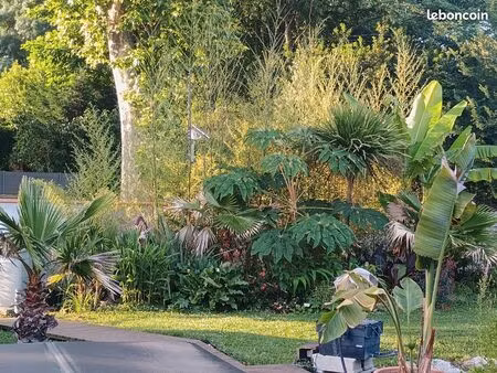 résidence de rapport aero■ensemble neuf ■chauffage climatisation neuf chauffe-eau thermody