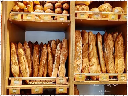 vente locaux professionnels 7 pièces 180 m² à chateauroux (36000)  152 750 €