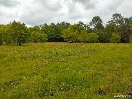 terrain agricole au coeur du village 35 mn de bodeaux