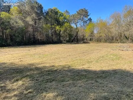 terrain agricole en zone n 3142 m2 le barp-prairie-accès d1010-calme