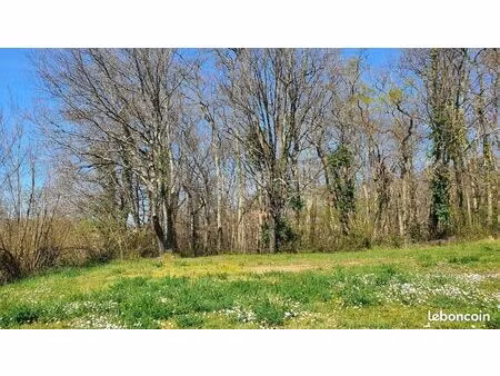 forêt 1 450 m² montussan