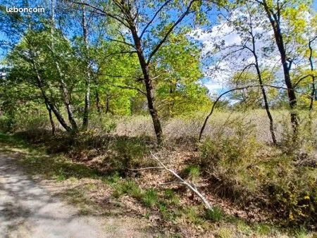 terrain biganos 3290m2