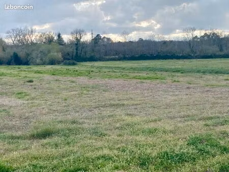 terrain 705 m² podensac