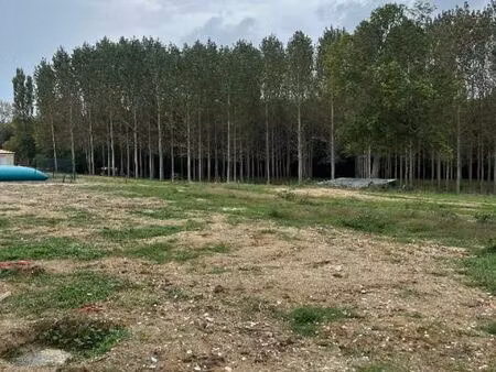 terrain 445 m² prignac et marcamps