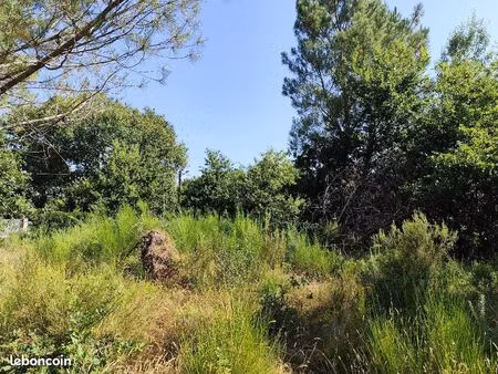 terrain 750 m² vendays montalivet
