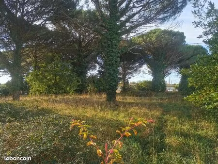 terrain 1 042 m² saint maixant