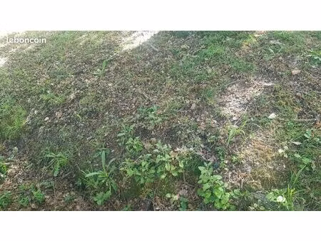 terrain soulac de 62000m2