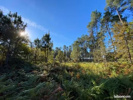 terrain 890 m² andernos les bains