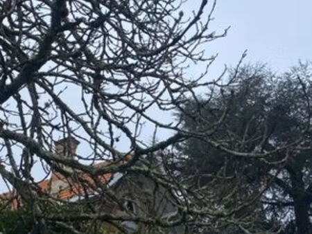 bordeaux cauderan tivoli parc bordelais maison de charme 180 m2