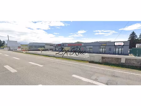 immobilier professionnel à louer pamiers