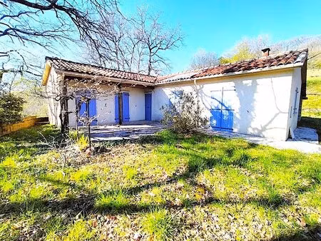 charmante propriété avec vignes et dépendances – 3 5 ha –