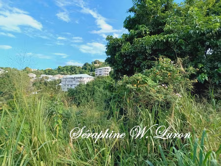 terrain à vendre de 800 00 m² la trinite (972)