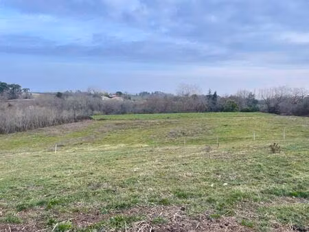 terrain constructible