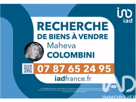 maison de campagne à vieille-brioude (43100)