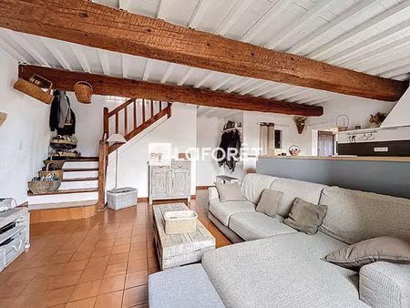 maison de caractère 3 faces + logement indépendant + terrasse