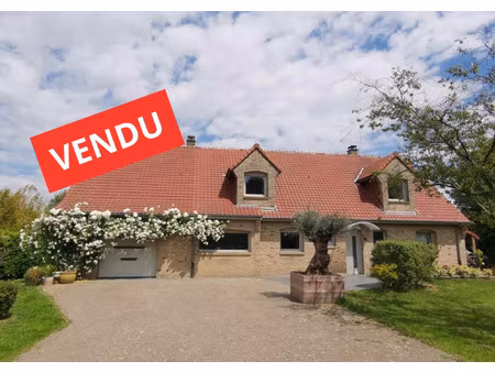 vente maison 6 pièces 187 m² le doulieu (59940)