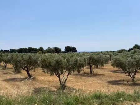 vente terrain à construire 318 m² aureille (13930)