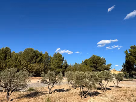 vente terrain à construire 360 m² aureille (13930)