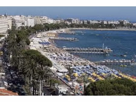 cannes centre local 75m2 proche croisette