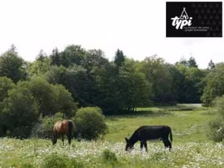 vente terrain à hennebont (56700) : à vendre / 800m² hennebont