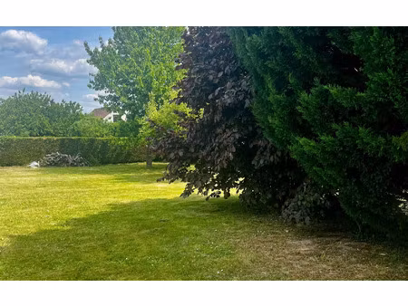 terrain sains-en-amiénois m² t- à vendre  135 000 €