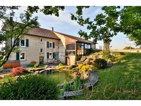 vente maison piscine à delle (90100) : à vendre piscine / 175m² delle