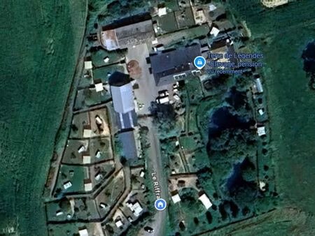 ? grande maison + pension canine & féline en activité ??