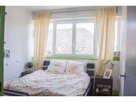 location appartement 3 pièces à nantes cité des congrès (44000) : à louer 3 pièces / 65m² 