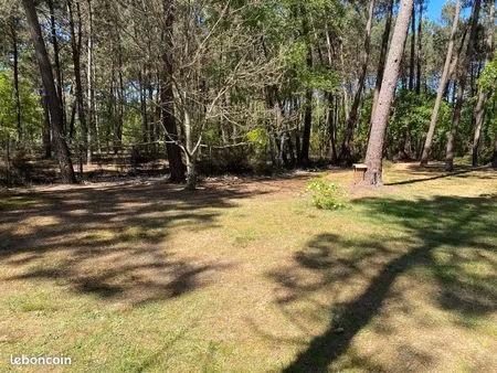 camping gpf motos  24 h  le mans classic