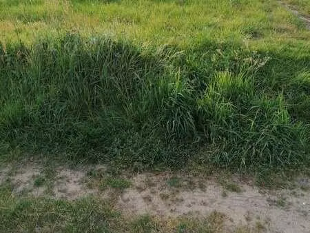 vente terrain à riantec (56670) : à vendre / riantec