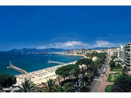 recherche logement cannes