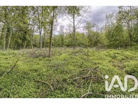 vente terrain à estouy (45300) : à vendre / 2024m² estouy