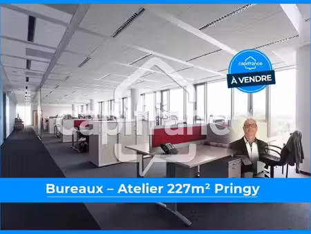local professionnel à vendre pringy 6 pièce(s) 227m2 795 000€