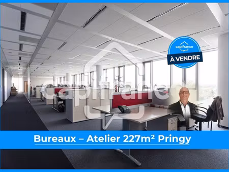 local professionnel à vendre pringy 6 pièce(s) 227m2 869 000€