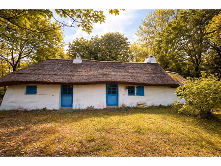 authentique bourrine avec fort potentiel